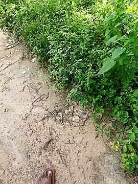 Snapshot of rameshmry1 chatting on October 19, 2025, 7:55 am rameshmry1 online show from October 19, 2025, 7:55 am