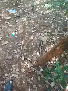 Snapshot of rameshmry1 chatting on February 21, 2026, 9:00 am rameshmry1 online show from February 21, 2026, 9:00 am