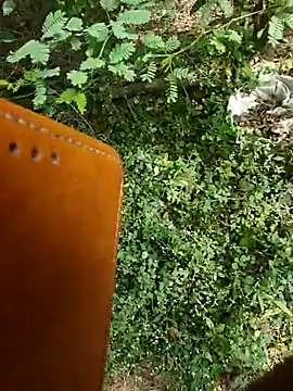 Snapshot of rameshmry1 chatting on January 7, 2026, 5:01 am rameshmry1 online show from January 7, 2026, 5:01 am