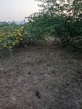 Snapshot of rameshmry1 chatting on March 5, 2026, 12:35 pm rameshmry1 online show from March 5, 2026, 12:35 pm