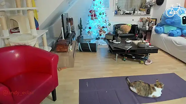 tinny williams online show from December 3, 2025, 4:24 am