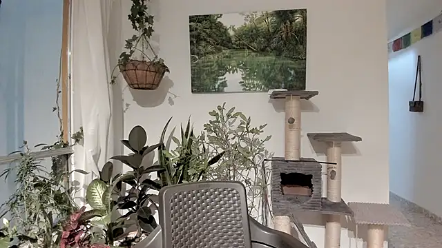 sexnherbs online show from February 11, 2026, 12:43 am