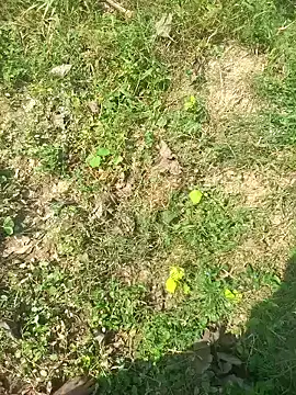 FinableKnee online show from October 15, 2025, 5:06 am