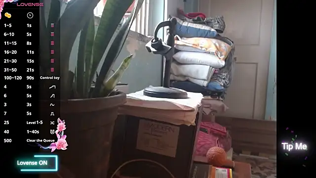 Star-Night online show from February 1, 2026, 4:11 am