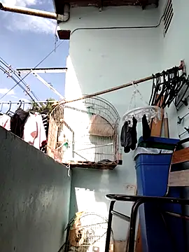 Snapshot of Monseratte21 chatting on September 11, 2025, 1:11 pm Monseratte21 online show from September 11, 2025, 1:11 pm