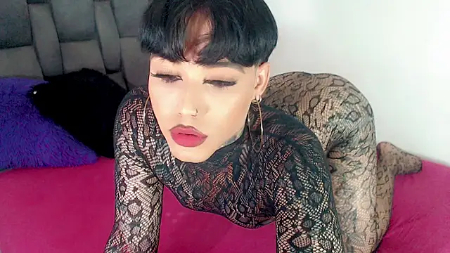 little star porn online show from June 14, 2026, 2:24 am