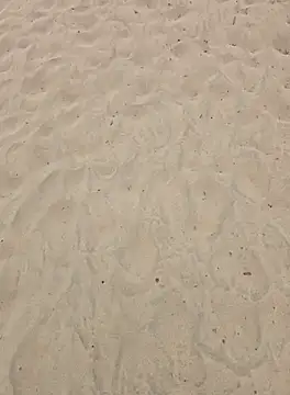 Trucker Hunter online show from September 25, 2025, 1:06 pm