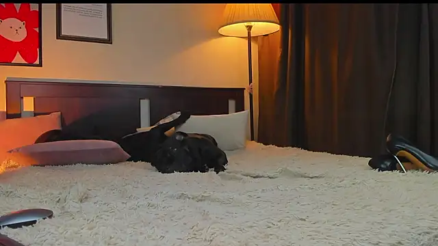 Lav Tender online show from February 1, 2026, 9:24 pm