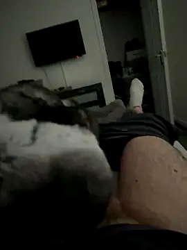 Furdale online show from October 2, 2025, 3:37 pm