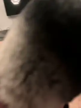 Furdale online show from January 31, 2025, 7:08 pm