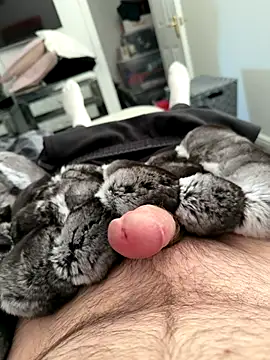 Furdale online show from September 25, 2025, 4:57 pm