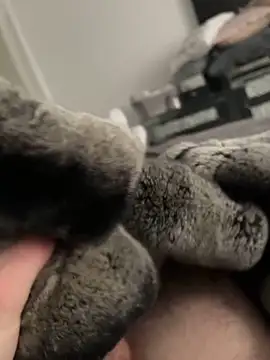 Furdale online show from February 10, 2025, 1:55 pm