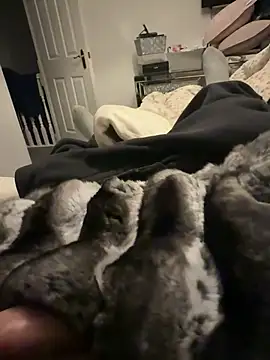 Furdale online show from February 6, 2026, 6:48 pm