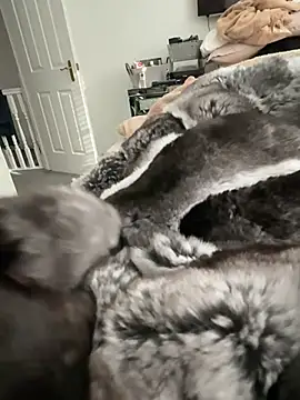 Furdale online show from February 22, 2026, 3:13 pm