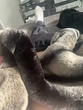 Furdale online show from February 22, 2025, 1:24 pm