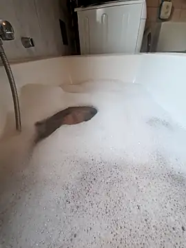 toeloverlive online show from March 12, 2026, 8:07 am