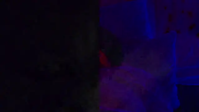 LuckyLefty79 online show from October 22, 2025, 7:19 am