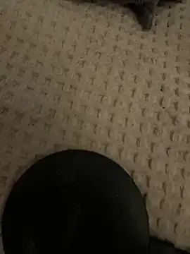 rippedbritish online show from December 2, 2025, 8:10 pm