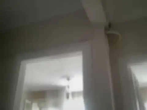 ALPHANDRE online show from February 7, 2026, 9:06 am