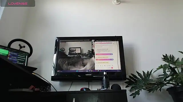 Snapshot of cat_salo chatting on March 2, 2025, 1:53 pm cat salo online show from March 2, 2025, 1:53 pm