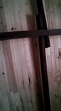 davigochi77bcn online show from March 6, 2025, 11:20 pm