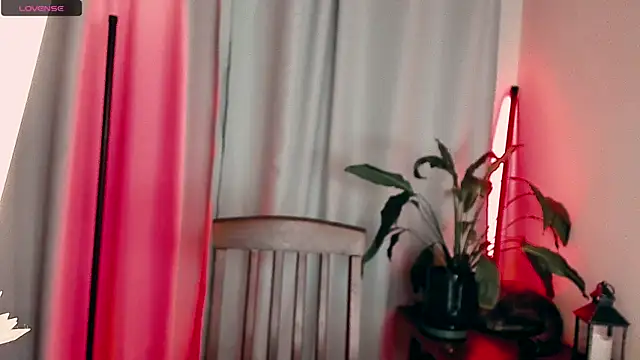 5 in one online show from February 11, 2026, 4:23 am