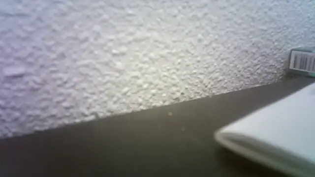 pau65vb online show from November 19, 2025, 8:03 am