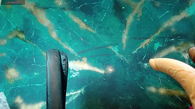 julieth sex1 online show from September 27, 2025, 4:51 am