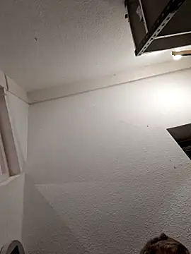 Percy ohv online show from November 1, 2025, 9:08 pm