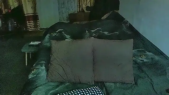 Snapshot of sex2 chatting on March 3, 2026, 9:55 pm sex2 online show from March 3, 2026, 9:55 pm