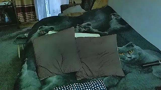 sex2 online show from October 28, 2025, 4:13 am