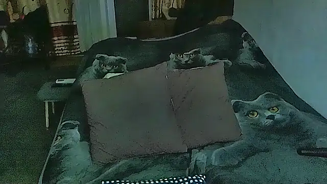 Snapshot of sex2 chatting on February 11, 2026, 11:15 pm sex2 online show from February 11, 2026, 11:15 pm