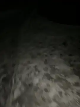 DavidandAva online show from February 1, 2026, 9:51 am