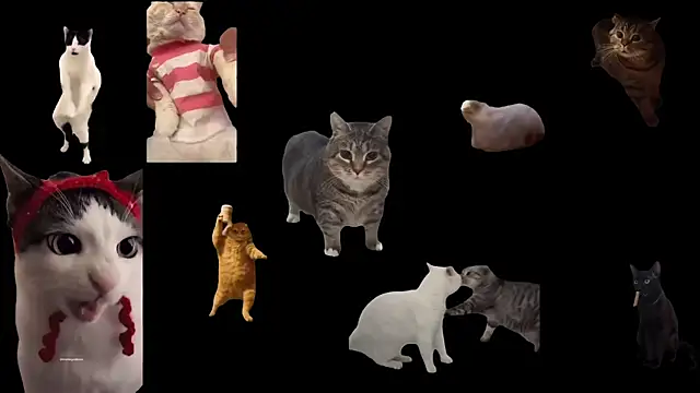 aberaaruba online show from November 12, 2025, 11:36 am