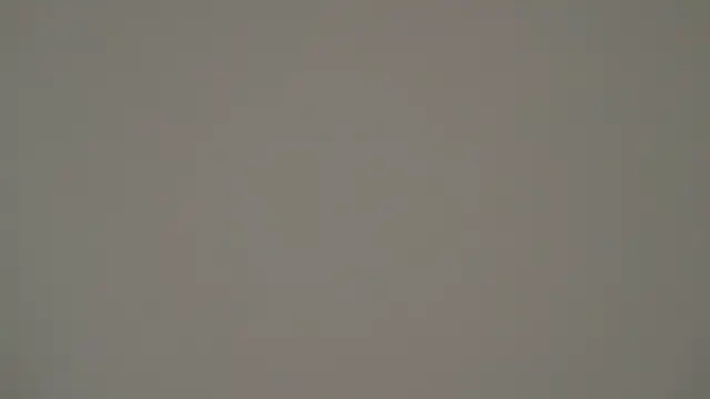 aberaaruba online show from February 24, 2025, 1:21 pm