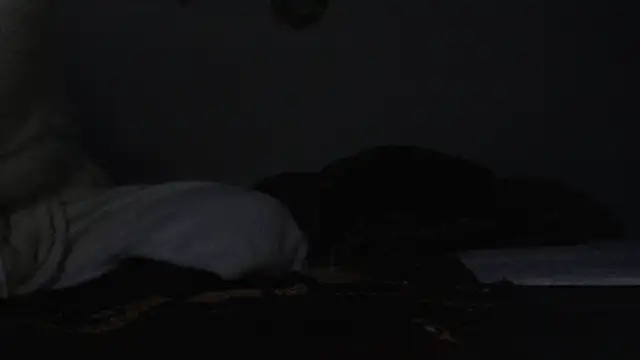 Snapshot of HoneyDripHer chatting on December 3, 2024, 6:32 am HoneyDripHer online show from December 3, 2024, 6:32 am