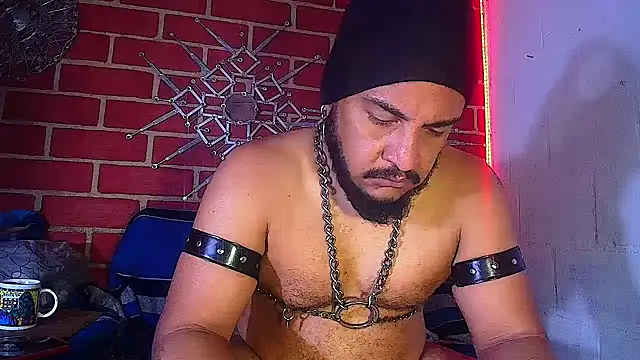 the master foal  online show from March 20, 2025, 2:53 pm