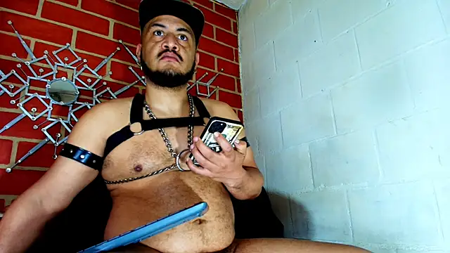 the master foal  online show from October 29, 2025, 7:13 pm