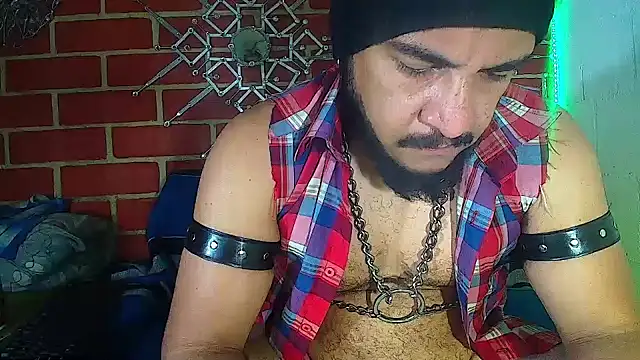 the master foal  online show from March 18, 2025, 7:55 am