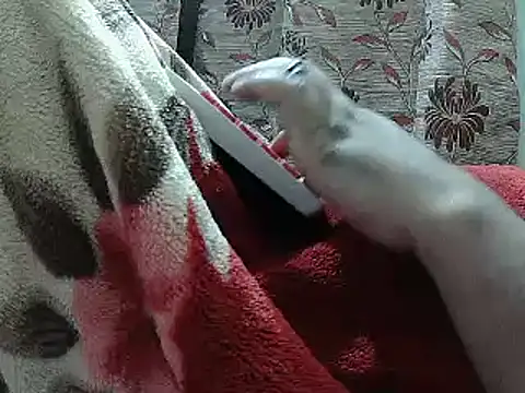 Snapshot of FUN4TIPS chatting on February 25, 2025, 5:08 pm FUN4TIPS online show from February 25, 2025, 5:08 pm