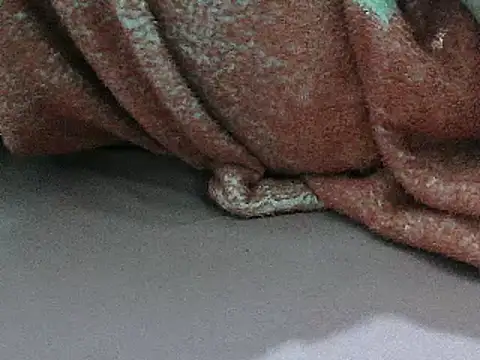 Snapshot of FUN4TIPS chatting on March 2, 2025, 6:37 am FUN4TIPS online show from March 2, 2025, 6:37 am