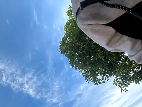 kingdennis6666 online show from September 17, 2025, 7:27 pm