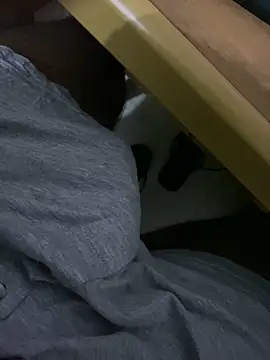 MALEHYPER online show from October 4, 2025, 6:31 pm