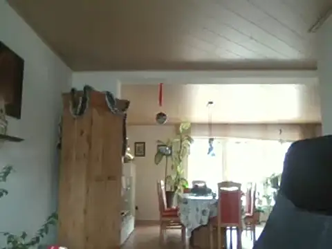 Nobbie444 online show from December 14, 2025, 11:38 am