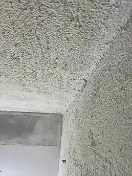 MarieLoveGlamorous online show from February 26, 2025, 3:54 pm