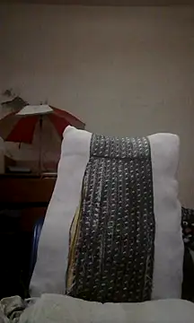 landy20cm online show from February 14, 2025, 8:37 pm