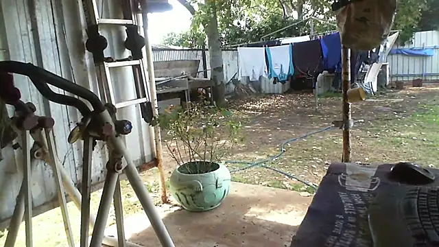 herbie010666 online show from September 14, 2025, 3:29 am