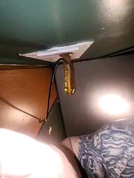 Snapshot of Loosegoose90 chatting on February 27, 2026, 5:29 am Loosegoose90 online show from February 27, 2026, 5:29 am