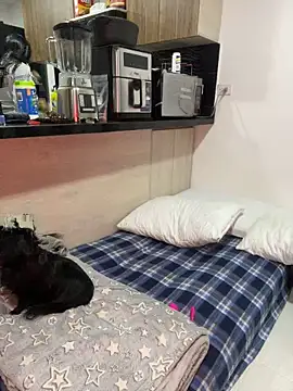 Dubois Amy online show from February 24, 2025, 9:30 pm