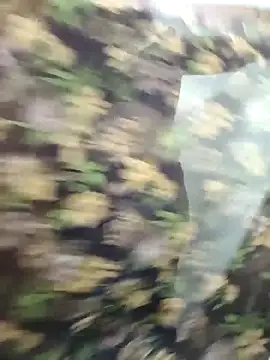 yoursana- online show from October 29, 2025, 4:55 am